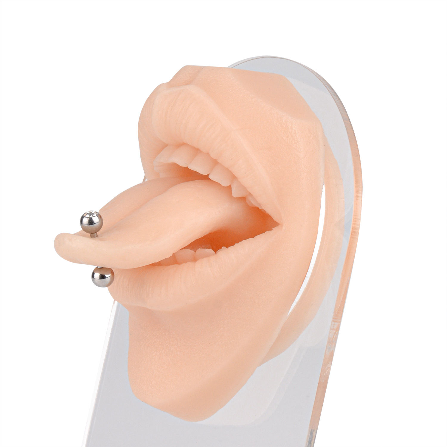 Non-toxic Human Silicone Tongue & Mouth Model for Piercings