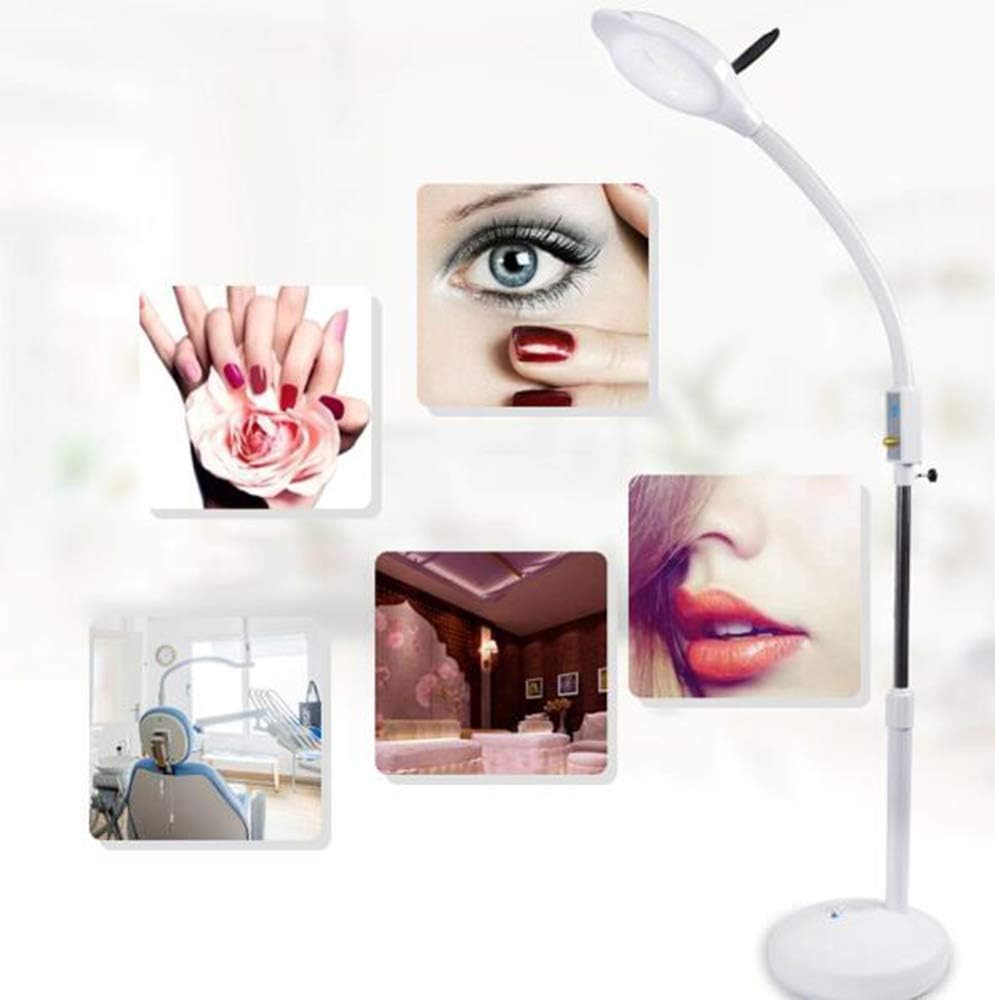 LED Magnifying Floor Lamp Adjustable Gallery